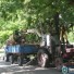 CIMG8724