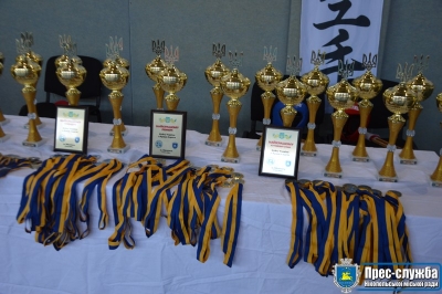 В Нікополі змагались каратисти