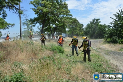 Покіс трави йде за планом