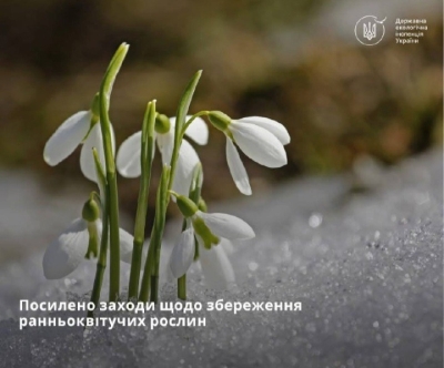 Розпочато комплексні заходи для збереження рідкісних і зникаючих ранньоквітучих рослин
