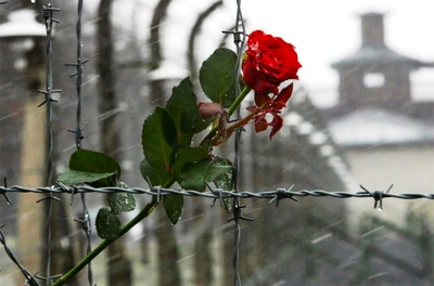 Запрошуємо долучитись небайдужих нікопольців!
