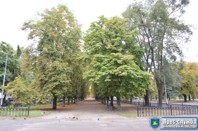 Вперше в цьому році нікопольським каштанам ввели ін&rsquo;єкцію