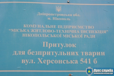 Запрошуємо нікопольців знайти собі чотирилапого друга