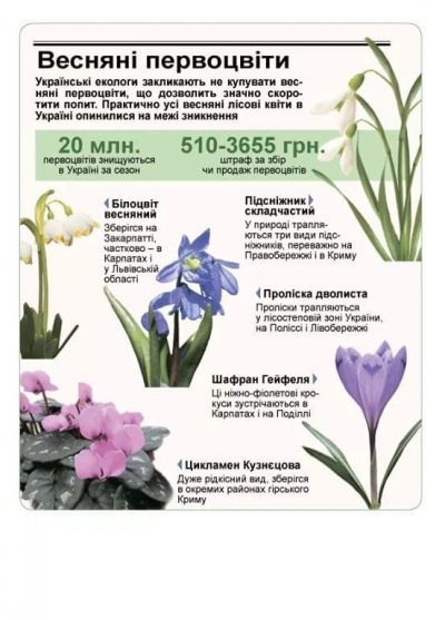 Операція &laquo;Первоцвіт-2019&raquo; в місті Нікополі