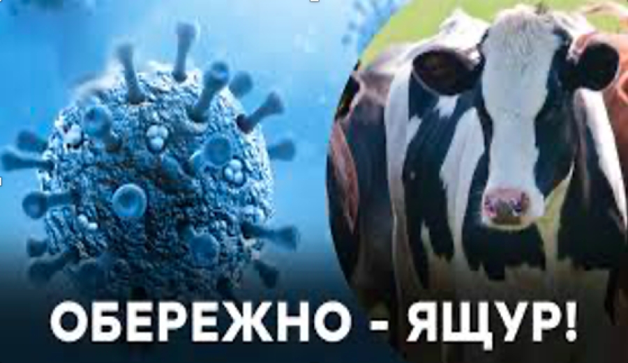 ЯЩУР: Що потрібно знати?