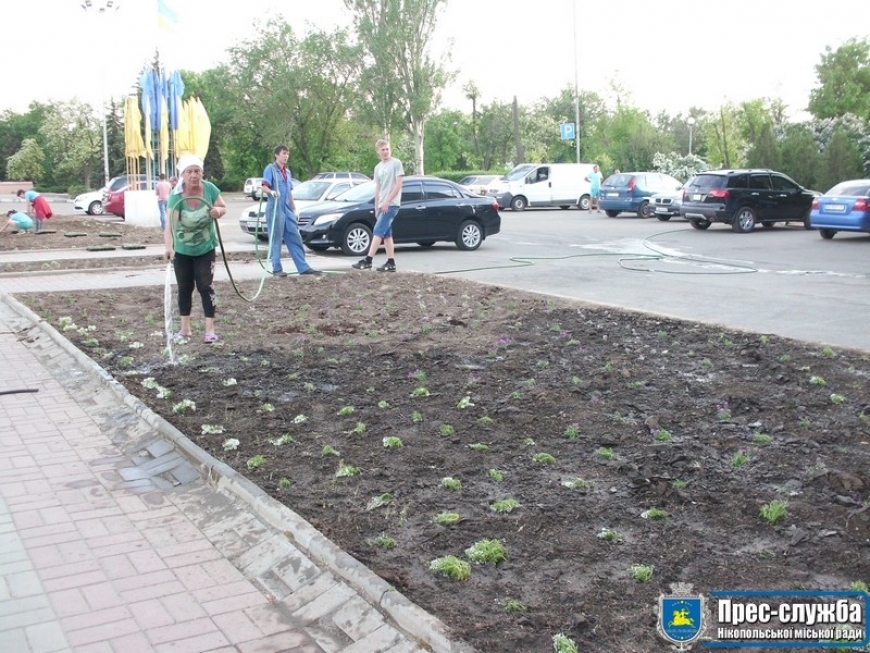 На нікопольських клумбах садять квіти