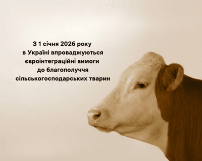 З 1 січня 2026 року в Україні впроваджуються євроінтеграційні вимоги до благополуччя сільськогосподарських тварин