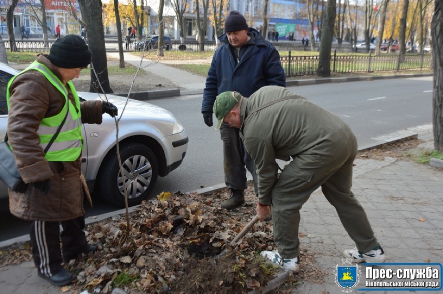 В Нікополі висаджують нові дерева